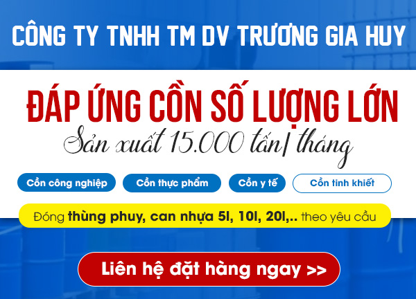 CÔNG TY TNHH THƯƠNG MẠI DỊCH VỤ TRƯƠNG GIA HUY